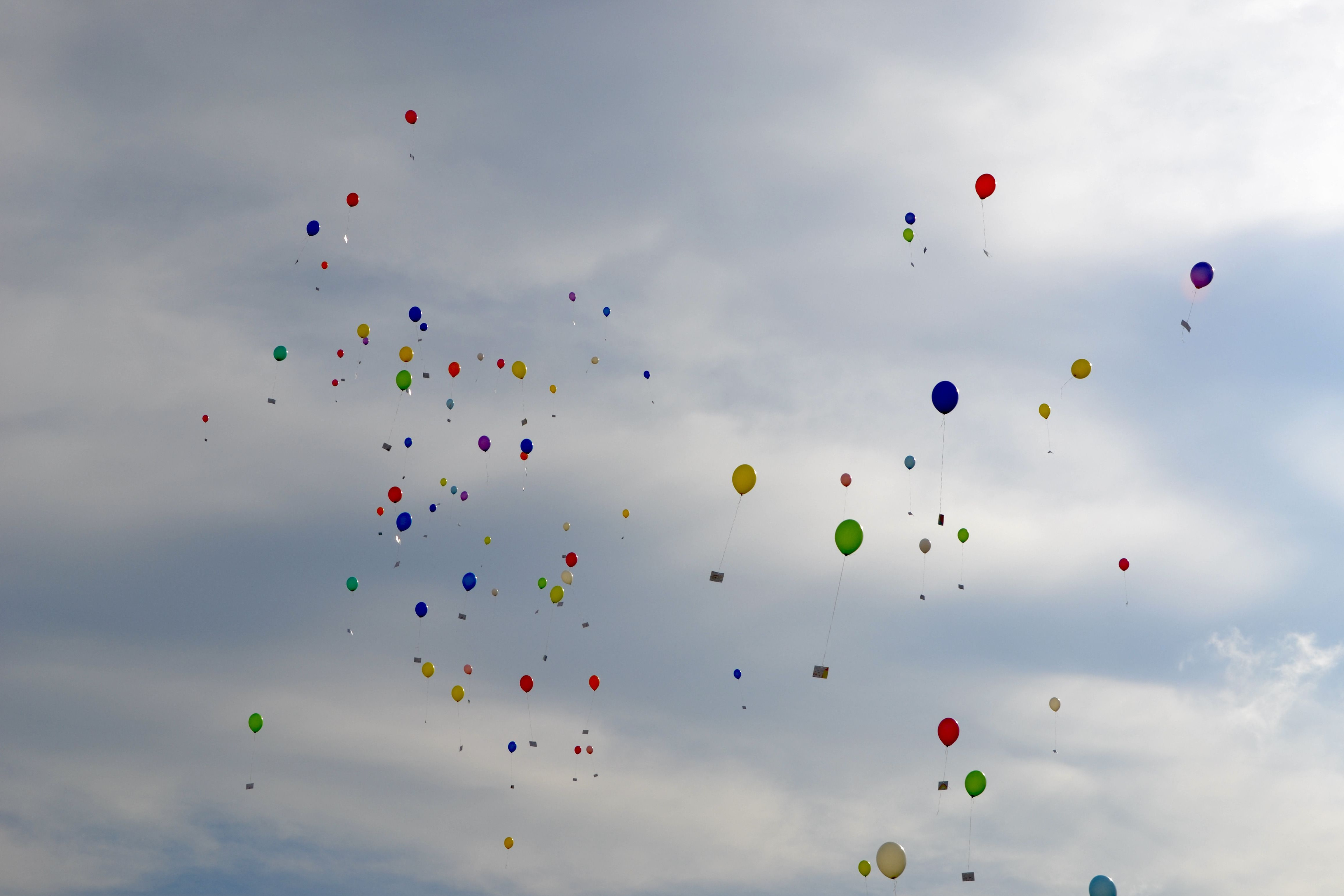  Luftballons mit den Wünschen der Kinder fliegen davon 